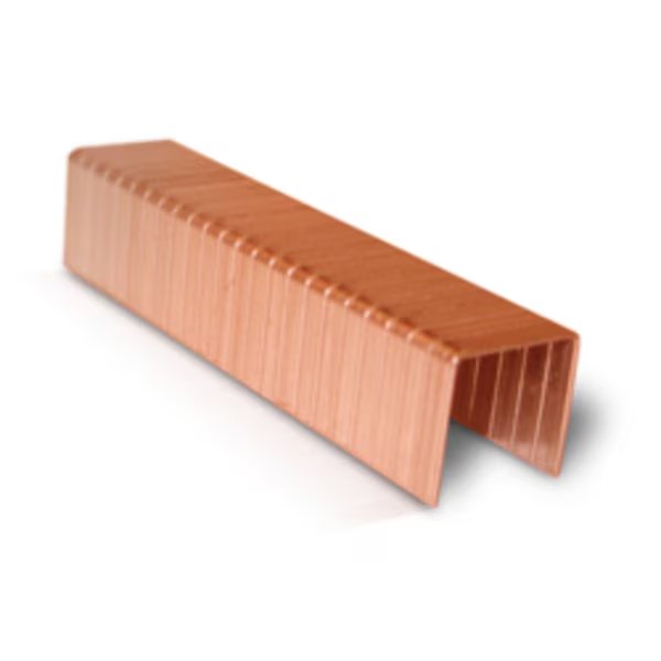 Stick Carton Closing Staples, 1-1/4